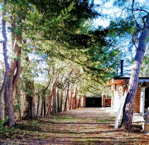 La Cabana De Piedra Ruidera Exterior foto